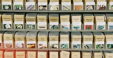 Calendario de siembra con sobres de semillas y semilleros