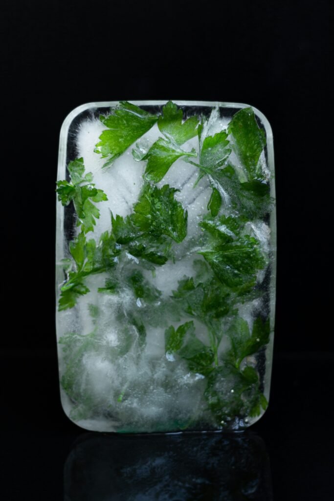 Cubitera para congelar hierbas frescas como lifehack de cocina