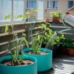 Huerto urbano en balcón con hortalizas y aromáticas