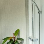 Plantas tropicales en un baño con humedad y poca luz