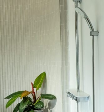 Plantas tropicales en un baño con humedad y poca luz