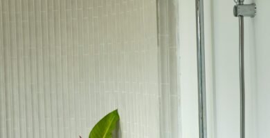 Plantas tropicales en un baño con humedad y poca luz